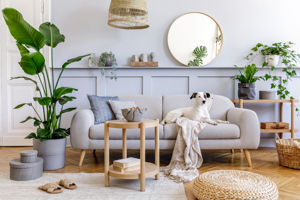 Mobilierul casei tale Mezoni