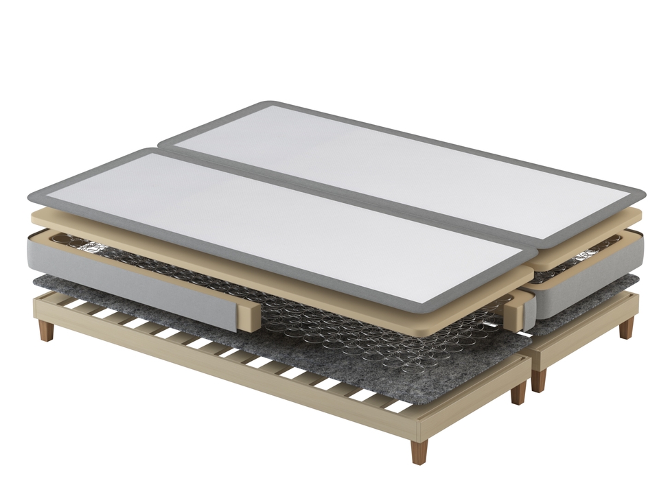 Somiera arcuri Bonnell