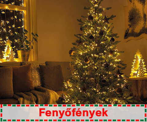 Fenyőfények