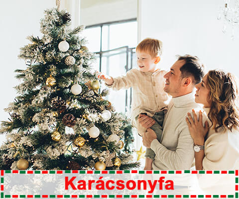 Karácsonyfa