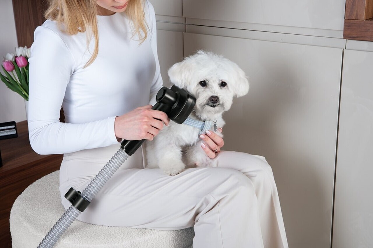 Aspirator pentru ingrijirea animalelor de companie Berlinger Haus, Black Rose, 350W, 2.2 L, negru - imagine 5