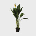 Planta artificiala Ailia, Homla, 13x15 cm / 100 cm, plastic, verde