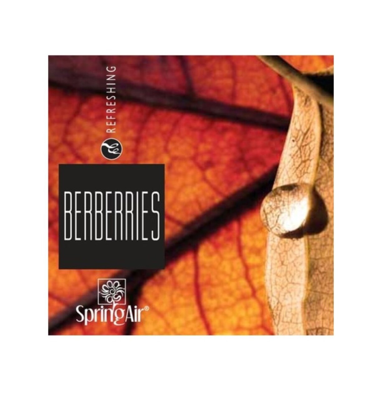 Rezerva odorizanta pentru camera Berberries, 250 ml, Spring Air