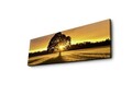 Tablou decorativ cu lumina LED, 3090DACT-68, Canvas, 30 x 90 cm, Multicolor