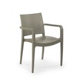 Set scaune 4 piese, Tilia, Specto Xl, Gri ciment