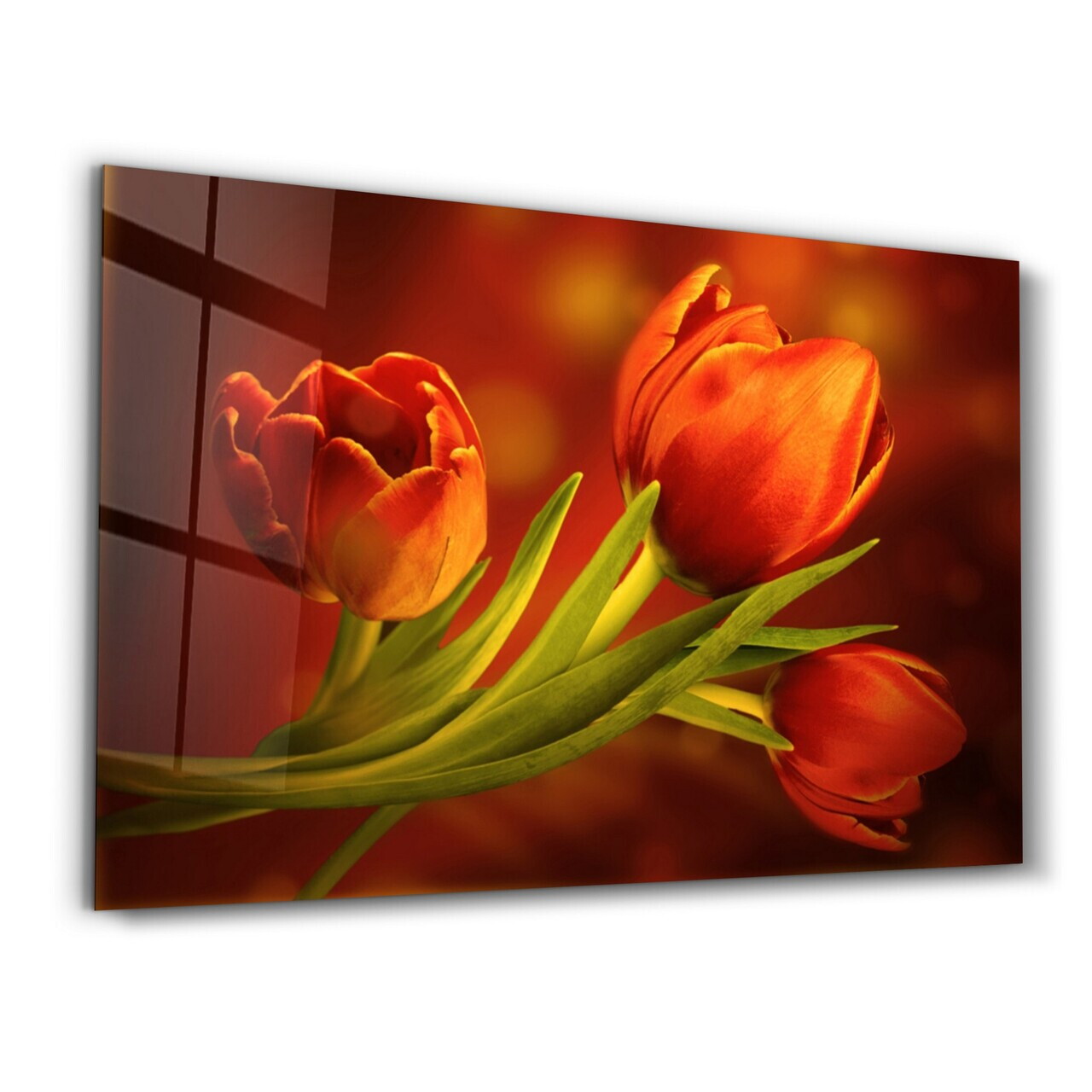 Tablou decorativ, OGLS-1144, Dimensiune: 35 x 55 cm, Multicolor — imaginea 5