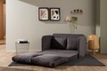 Canapea extensibilă cu 2 locuri, Futon, 859FTN2873, Metal , Gri