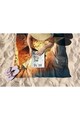 Prosop de plaja, Astacura, Think Like An Egyptian 90, 90x150 cm, 70% poliester/30% poliamida, Multicolor