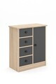 Dulap multifunctional, Hanah Home, Elmar, 66x82x34 cm, Stejar Sonomo / Antracit