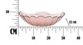 Bol Shell Rosa, Mauro Ferretti, Ø32x10 cm, sticla reciclata