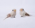 Set 2 decoratiuni Bird velvet on clip, Decoris, spuma, multicolor