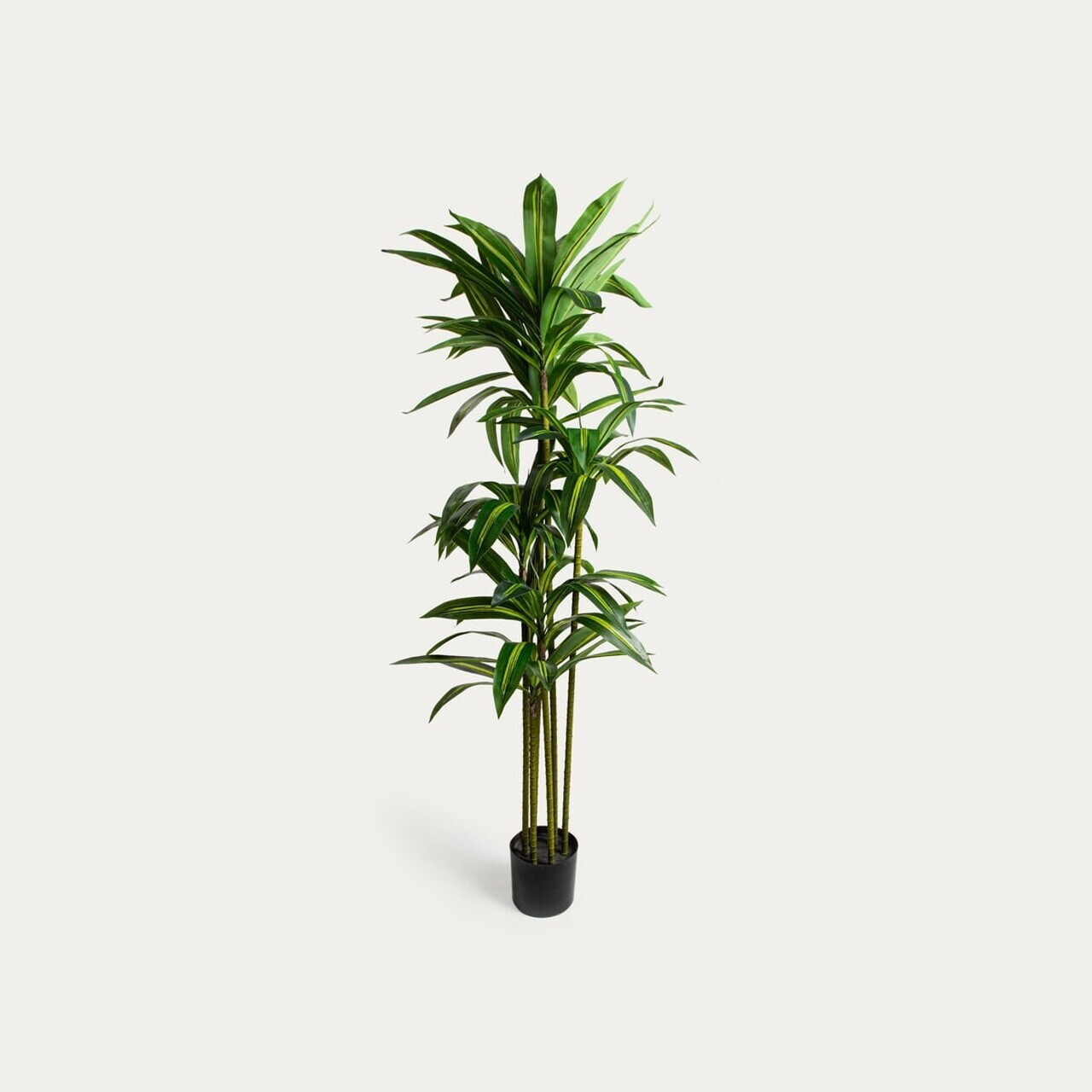 Planta artificiala dracaena Greenora, Homla, 160 cm, plastic, verde