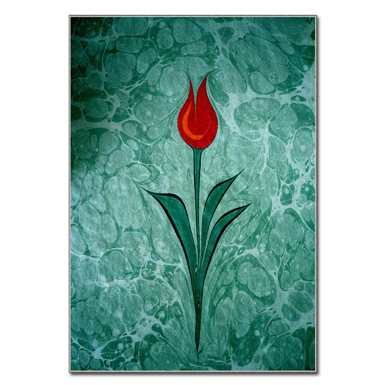 Covor, ASR CRPT-29 , 160x230 cm, Poliester, Multicolor