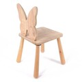 Set masa si scaun pentru copii, Rosewood, BLTYZ-AKTV062, Stejar