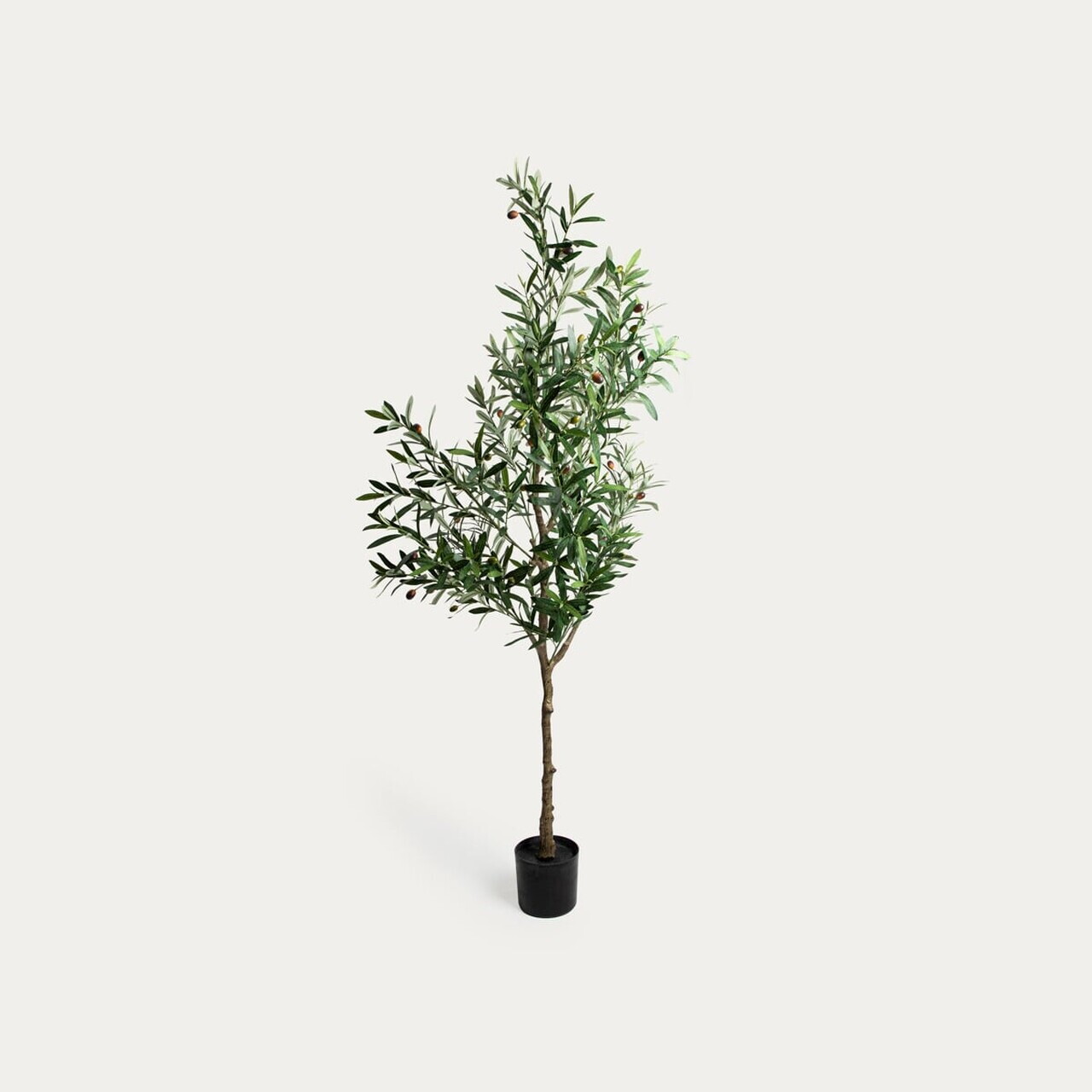 Planta artificiala maslin Viridis, Homla, 15x140 cm, plastic, verde/negru