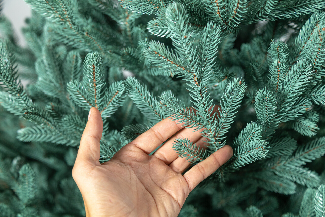 Brad artificial Christmas Deluxe by Sersimo, Viena Select argintiu, integral 3D, 210cm — imaginea 22