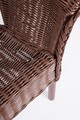 Scaun pentru gradina Alliss, Bizzotto, 58x61x74 cm, ratan/rachita, rosu ruby