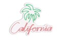 Decoratiune luminoasa LED, California, Benzi flexibile de neon, DC 12 V, Verde / Roz