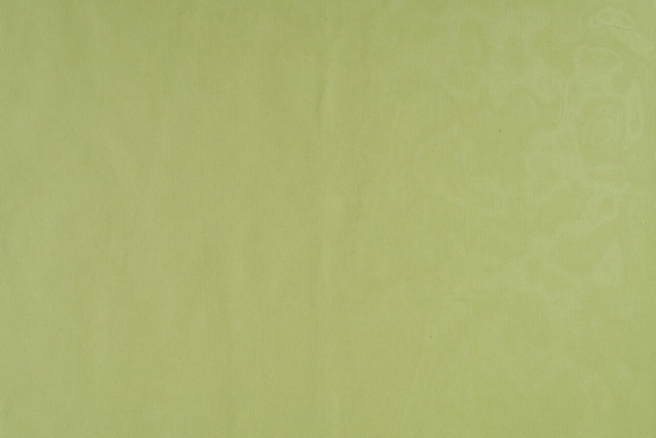 Perdea Imagine, Voal, 300x245 Cm, Poliester, Verde