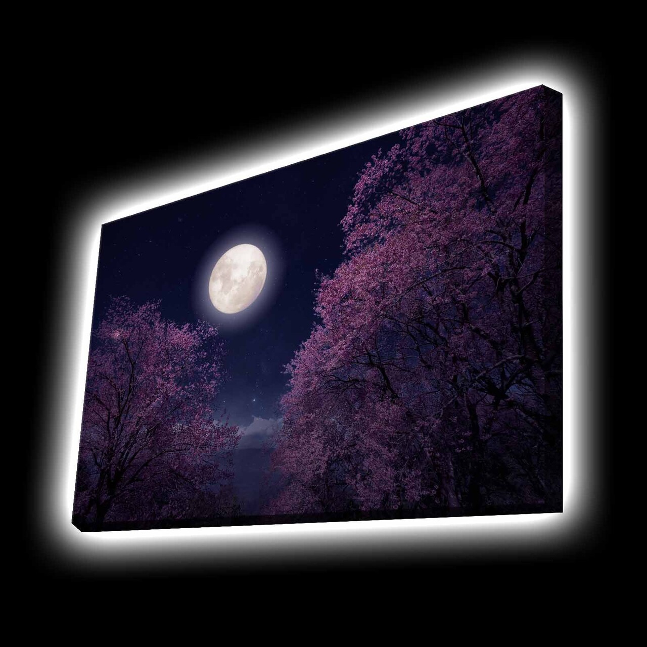 Tablou decorativ cu lumina LED, 4570KTLGDACT, Dimensiune: 45 x 70 cm, Multicolor - view 2