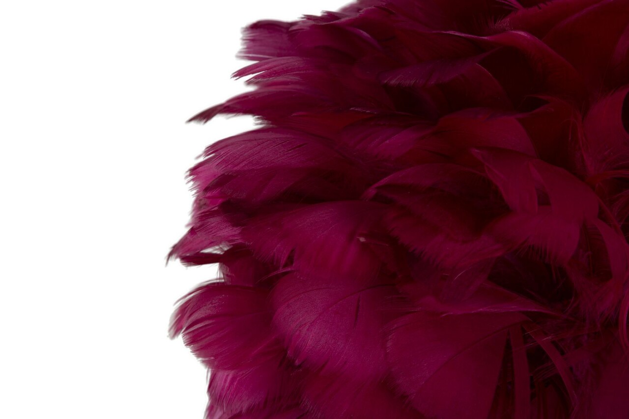 Lampa de masa, Mauro Ferretti, Feather, 1 x E27, 40W, 30x50 cm, fier/plastic, auriu/bordo - imagine 3