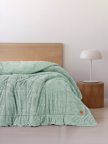Pilota dubla, Wave - Sage, Cotton Box, Poliester