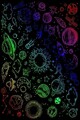 Covor, HMNT487, 80x150 cm, Poliester, Multicolor
