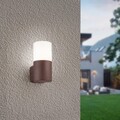 Aplica de perete pentru exterior Hoosic, TRIO, 8.5x11.8x17.5 cm, 28W, 1x E27, aluminiu turnat/plastic, maro