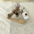 Masuta de cafea, Neostill, Mia, Stejar / Transparent