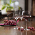 Set 4 pahare pentru vin Charisma, Rona, 450 ml, sticla, transparent