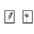 Set 2 tablouri decorative, Flower Feather Set, PAL, Hartie, Multicolor