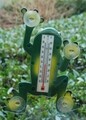 Termometru pentru exterior, Esschert, Frog, 3.5 x 17.6 x 23.8 cm, ABS/PVC/sticla, verde