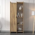 Corp biblioteca, Inarch, Offer, Stejar