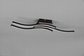 Plafoniera Route, RL, 56x12x7 cm, 5W, 3x SMD, MDF, natur/negru