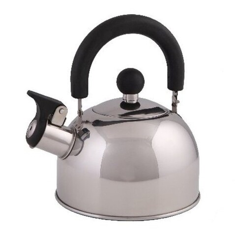 Ceainic tytus, domotti, 2 l, inox, argintiu