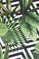Covor, Tropic Djt  , 80x150 cm, 50% catifea/50% poliester, Multicolor