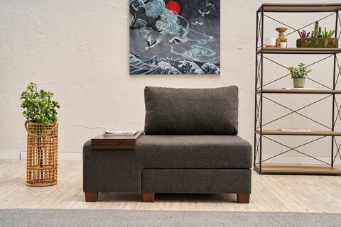 Fotoliu extensibil, Balcab Home, 825BLC4716, Lemn, Antracit