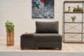 Fotoliu extensibil, Balcab Home, 825BLC4716, Lemn, Antracit