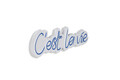Decoratiune luminoasa LED, C'est La Vie, Benzi flexibile de neon, DC 12 V, Albastru