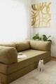 Canapea extensibila cu 3 locuri, Evalina, 383EVN1269, Material: 100% catifea PES, Kaki / 