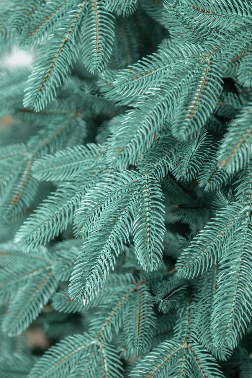 Brad artificial Christmas Deluxe by Sersimo, Laponia Select argintiu, integral 3D, 250cm