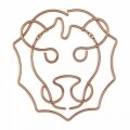 Suport decorativ perete Lion, Metaltex, 27 x 30 cm,  inox, aramiu