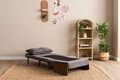Canapea extensibilă cu 1 loc, Futon, 859FTN2332, Metal , Gri