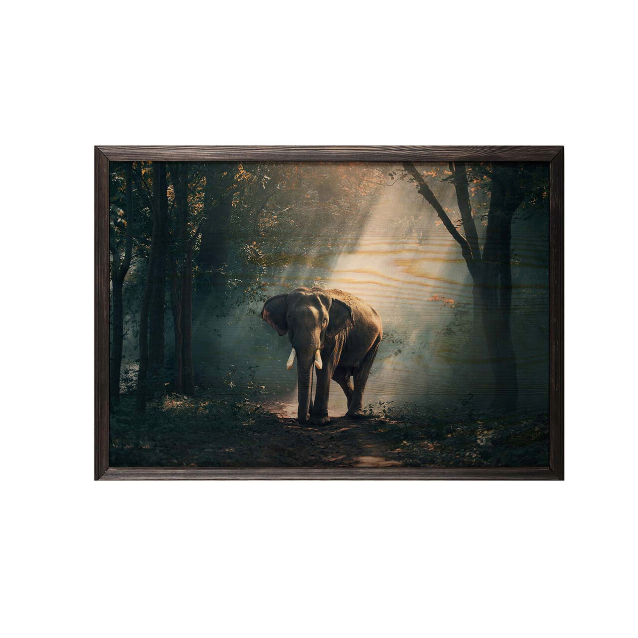 Tablou decorativ, Alone Elephant XL, Lemn, Lemn, Multicolor - 1 | YEO