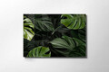 Tablou decorativ, 1120, Sticla temperata, 70 x 100 cm, Multicolor