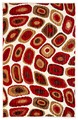 Covor Zaria, Decorino, 100x150 cm, polipropilena, multicolor