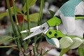Foarfeca pentru gradinarit, Verdemax, Lady Bypass, 18 cm, otel/plastic, verde/gri