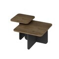Masuta de cafea, Hanah Home, Luvi, 40.6x40.35x40.6 cm, Rahle / Antracit