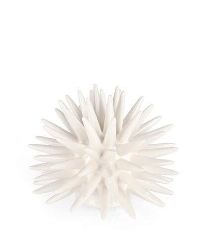 Decoratiune Abyss Sea Urchin, Bizzotto, Ø 15 x 13 cm, portelan, alb