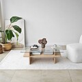 Masuta de cafea, Neostill, Saga Rectangle, Safir / Transparent